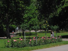 Geneven puistomaisemaa, osa 1